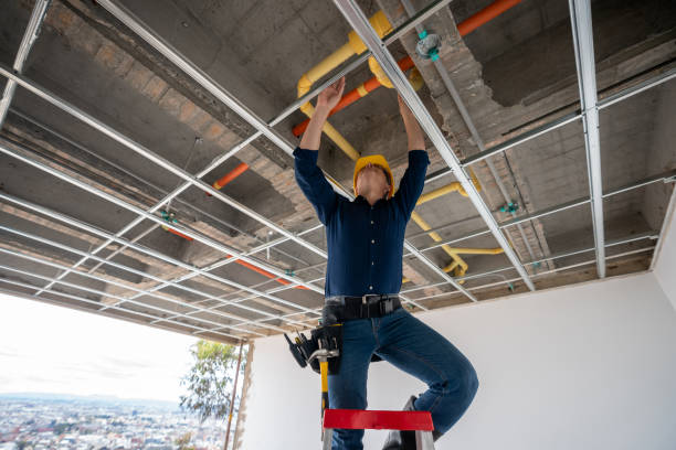 Best Leak Detection Services  in Goodman, MO